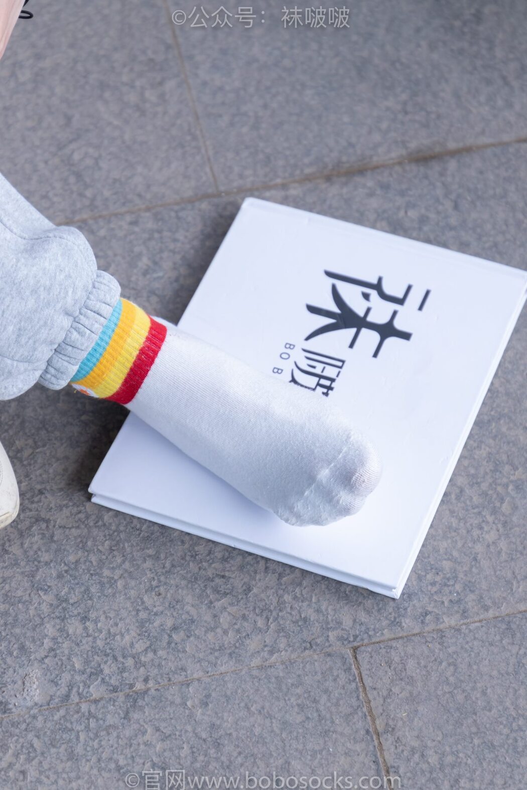 BoBoSocks袜啵啵 NO.012 Pao Fu