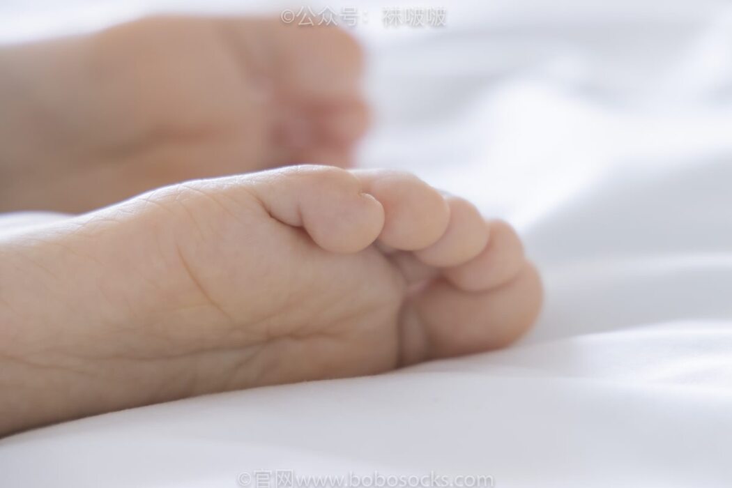 BoBoSocks袜啵啵 NO.039 Xiao Nai Xiong