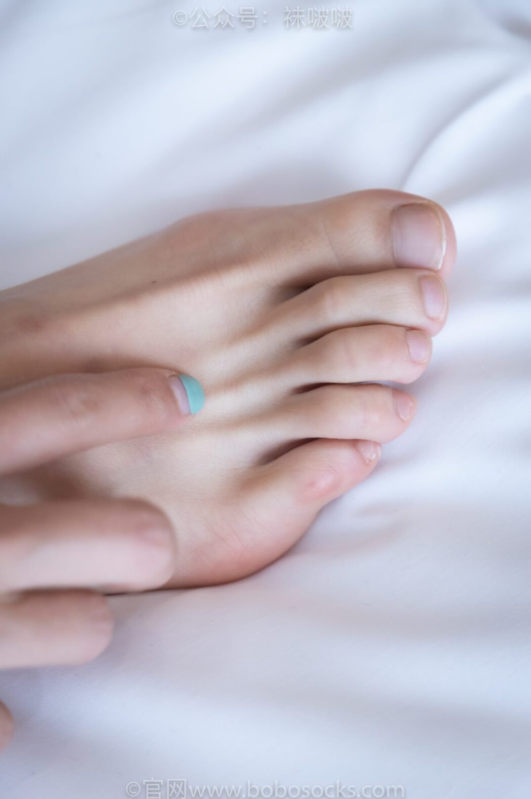 BoBoSocks袜啵啵 NO.024 Han Han