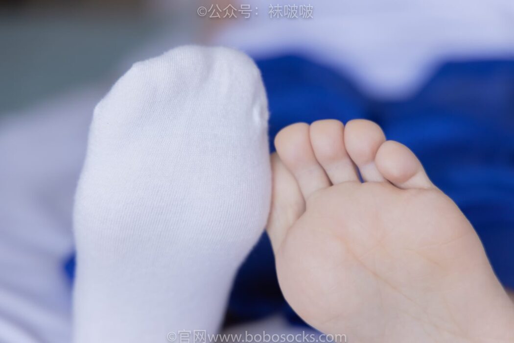 BoBoSocks袜啵啵 NO.039 Xiao Nai Xiong