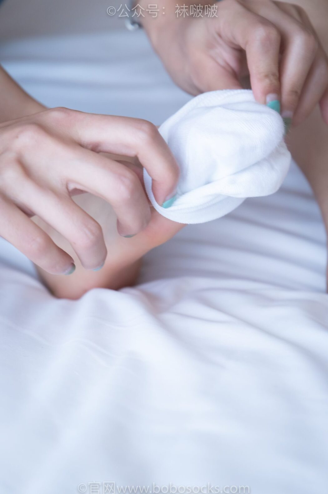 BoBoSocks袜啵啵 NO.024 Han Han