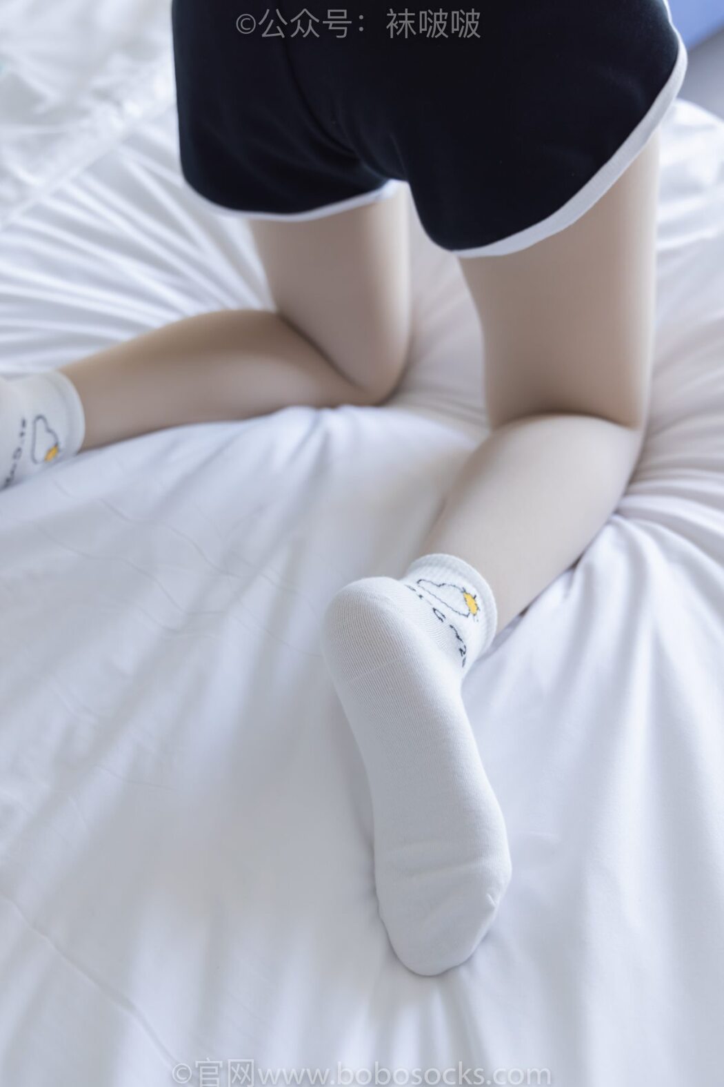 BoBoSocks袜啵啵 NO.031 Xiao Nai Xiong
