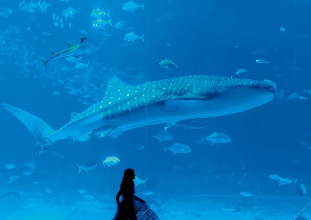 JP Shida Nene 志田音々 – Best selection ワニブックス デジタル写真集 (88P)