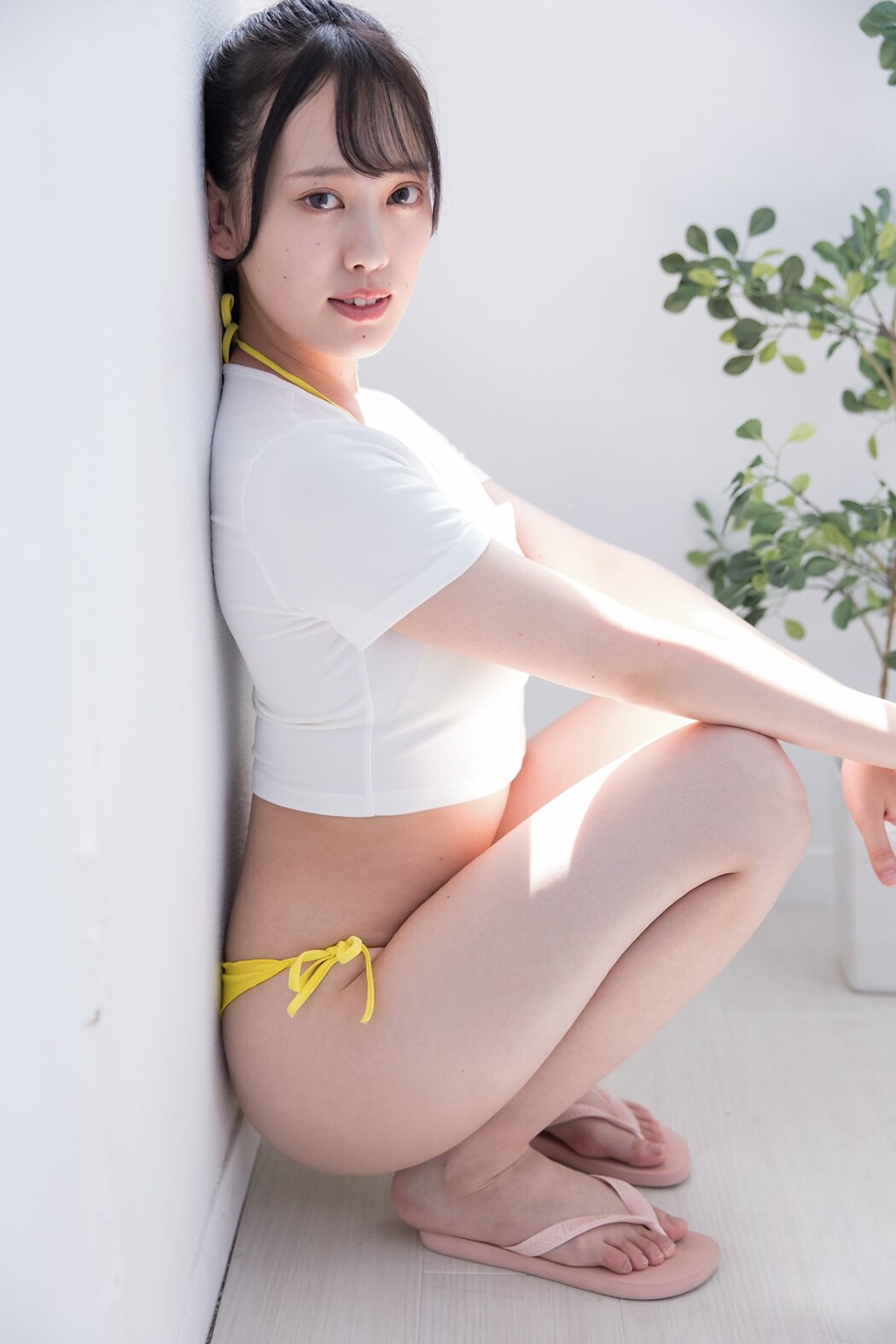 Minisuka.tv 2022-11-17 Sarina Kashiwagi 柏木さりな – Regular Gallery 10.4