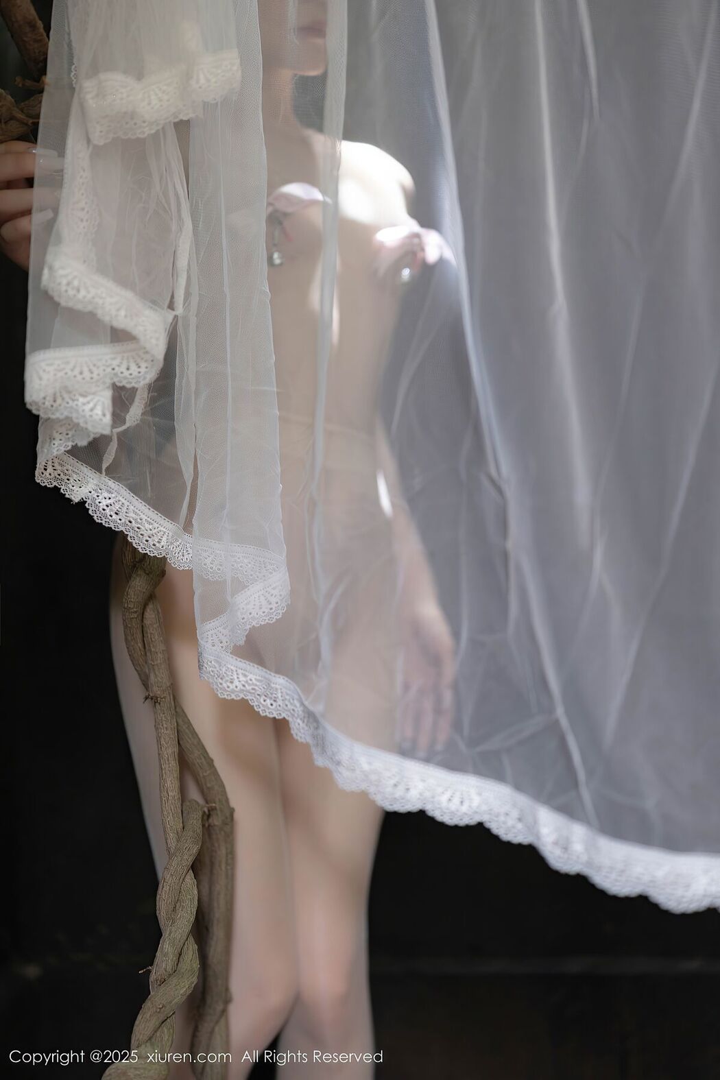 XiuRen秀人网 No.10173 鱼子酱Fish (81P)