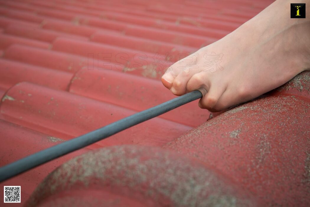 IESS异思趣向 No.545 Jiu Mei