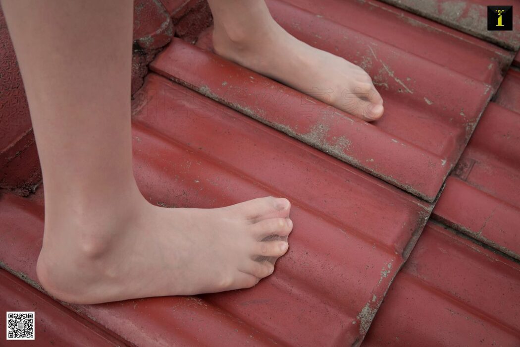 IESS异思趣向 No.545 Jiu Mei