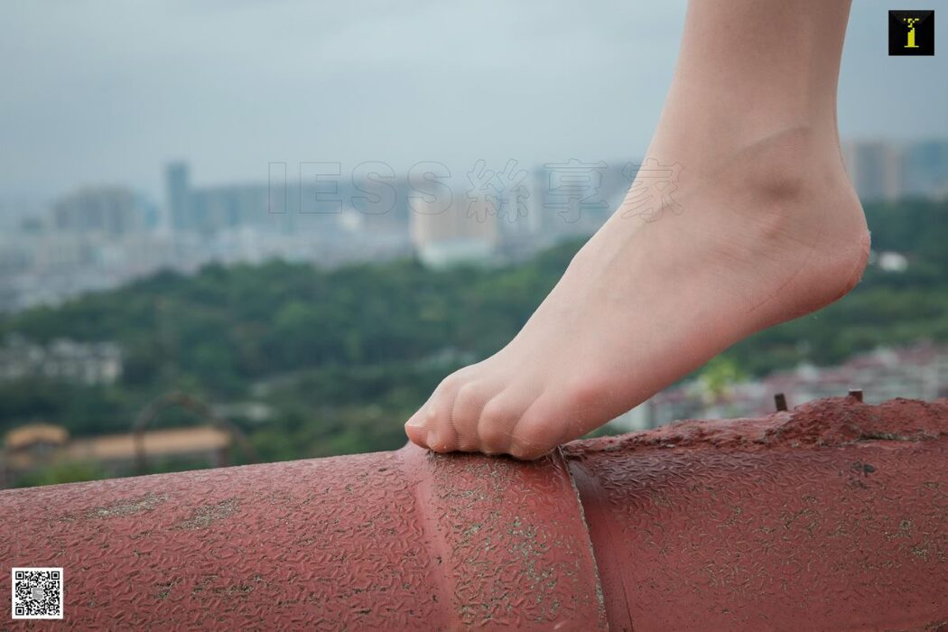 IESS异思趣向 No.545 Jiu Mei