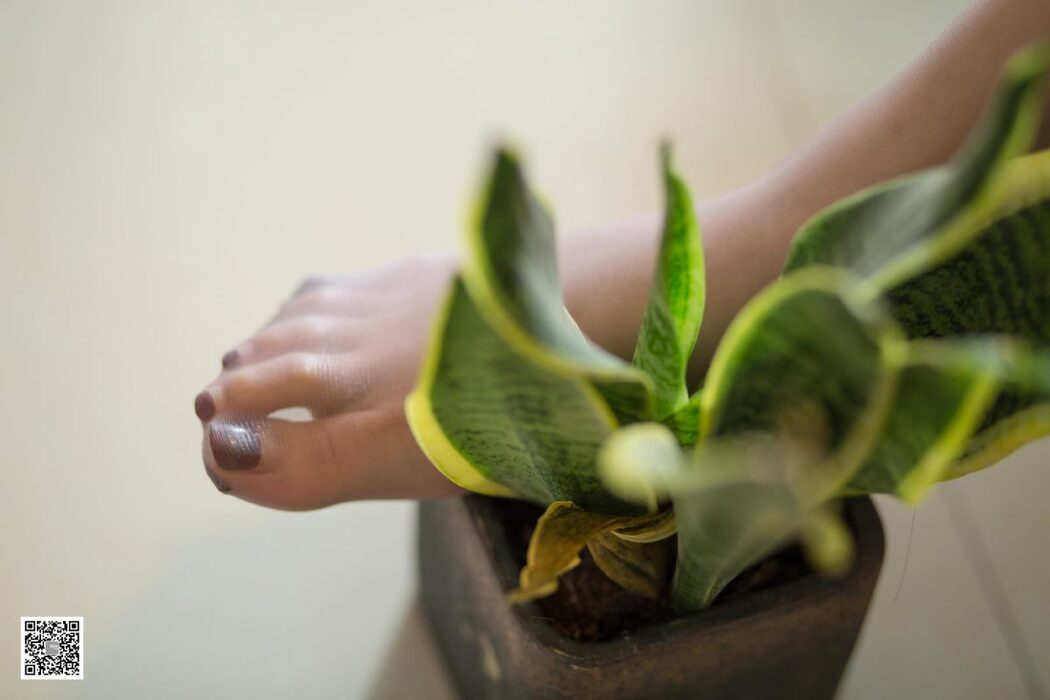 IESS异思趣向 SXJ.417 Jiu Mei