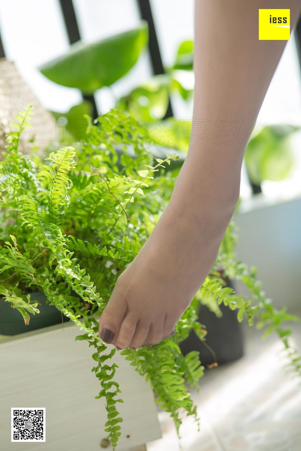 IESS异思趣向 SXJ.417 Jiu Mei