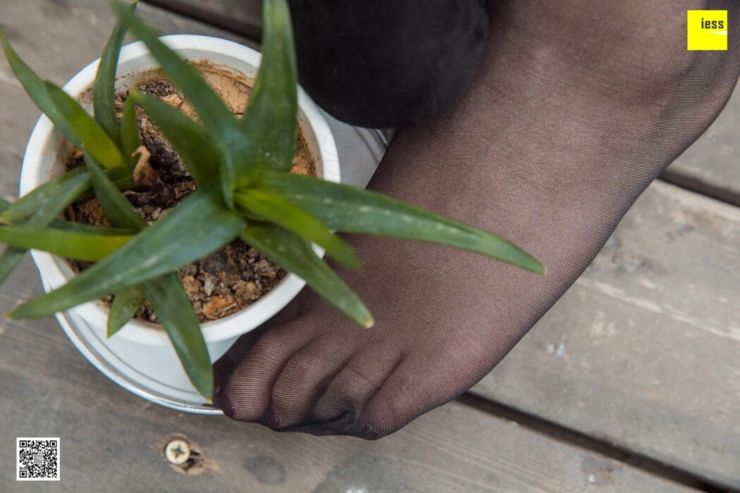 IESS异思趣向 SXJ.429 Jiu Mei