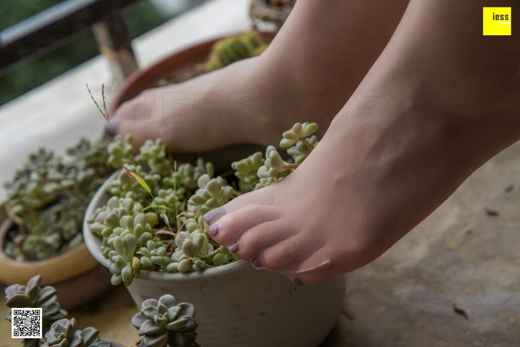 IESS异思趣向 SXJ.436 Jiu Mei