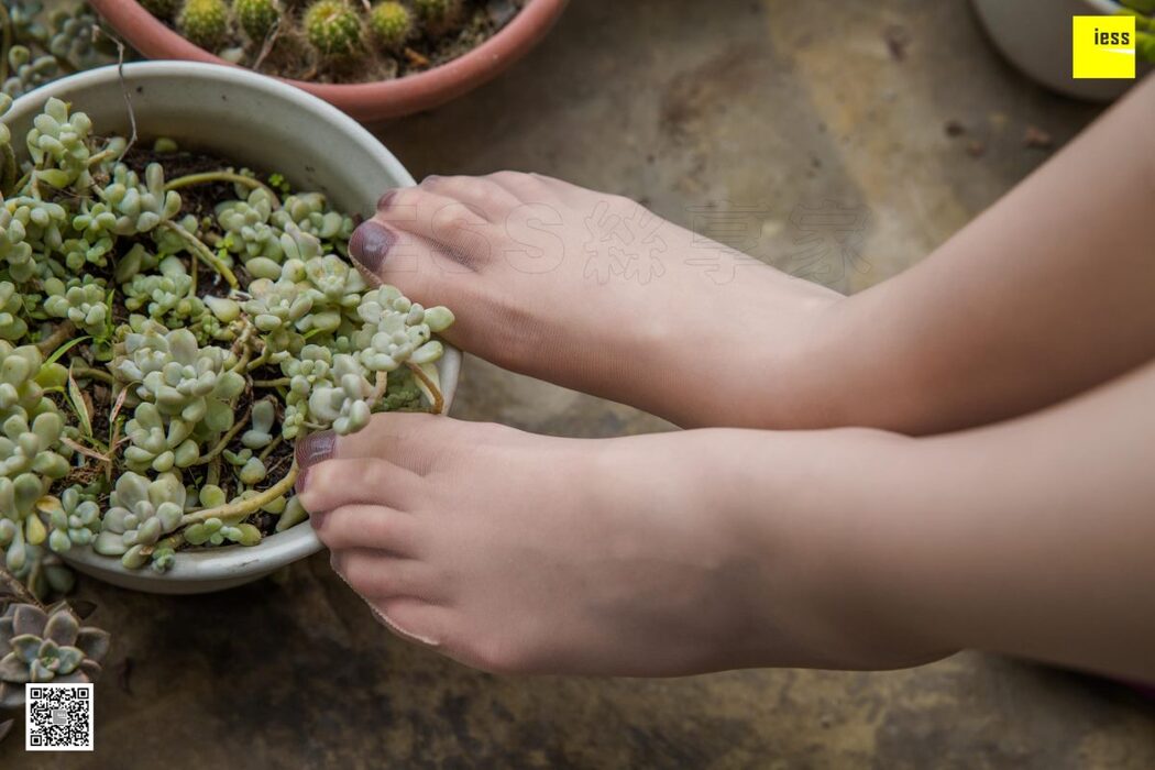 IESS异思趣向 SXJ.436 Jiu Mei