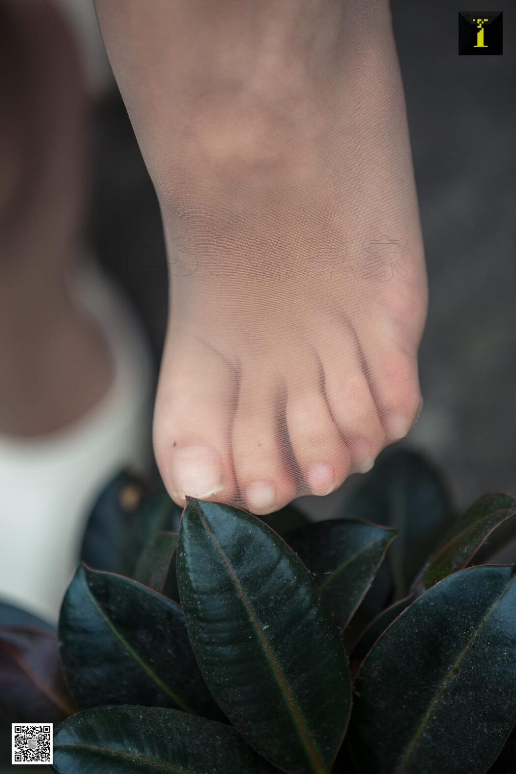 IESS异思趣向 SXJ.483 Wan Ping