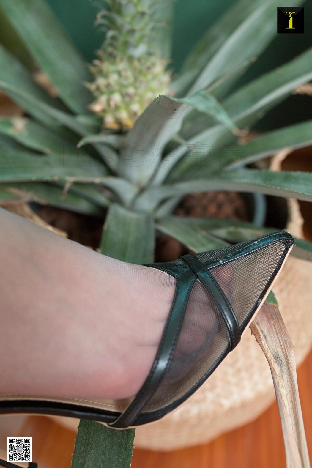 IESS异思趣向 SXJ.491 Yun Zhi