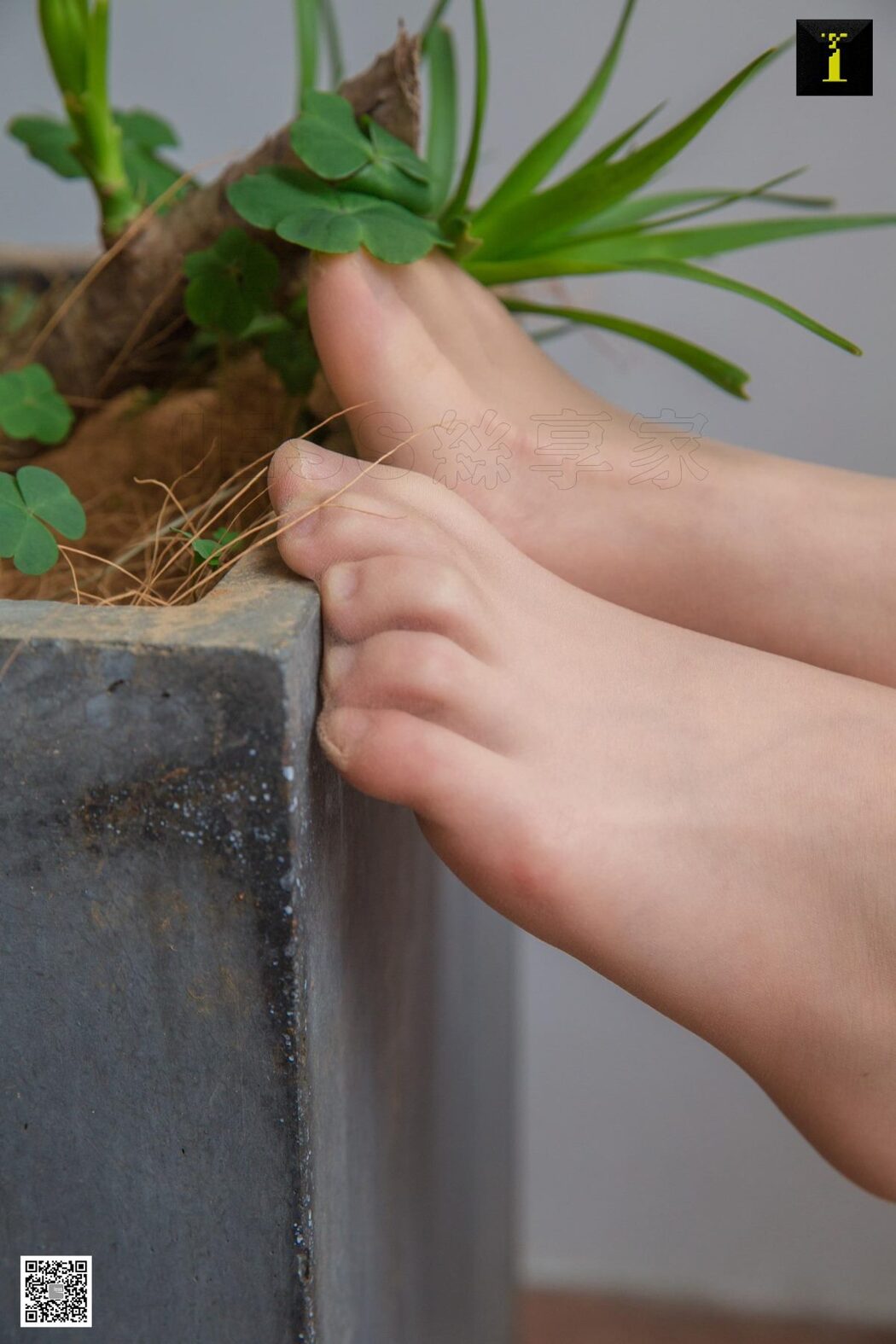 IESS异思趣向 SXJ.493 Shan Shan