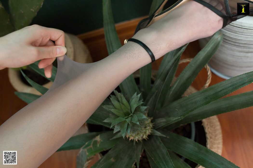 IESS异思趣向 SXJ.491 Yun Zhi