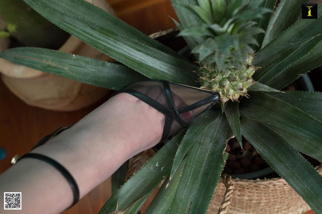 IESS异思趣向 SXJ.491 Yun Zhi