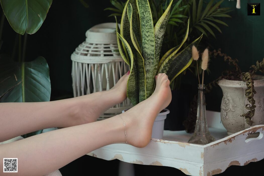 IESS异思趣向 SXJ.500 Jia Jia