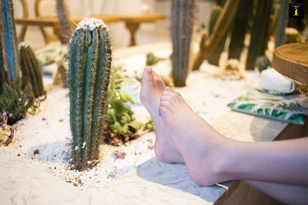 IESS异思趣向 No.622 Xi Xi