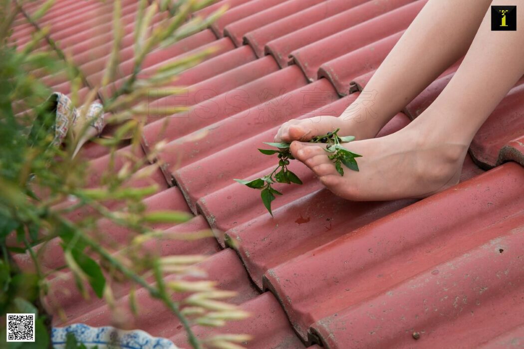 IESS异思趣向 SXJ.566 Jiu Mei