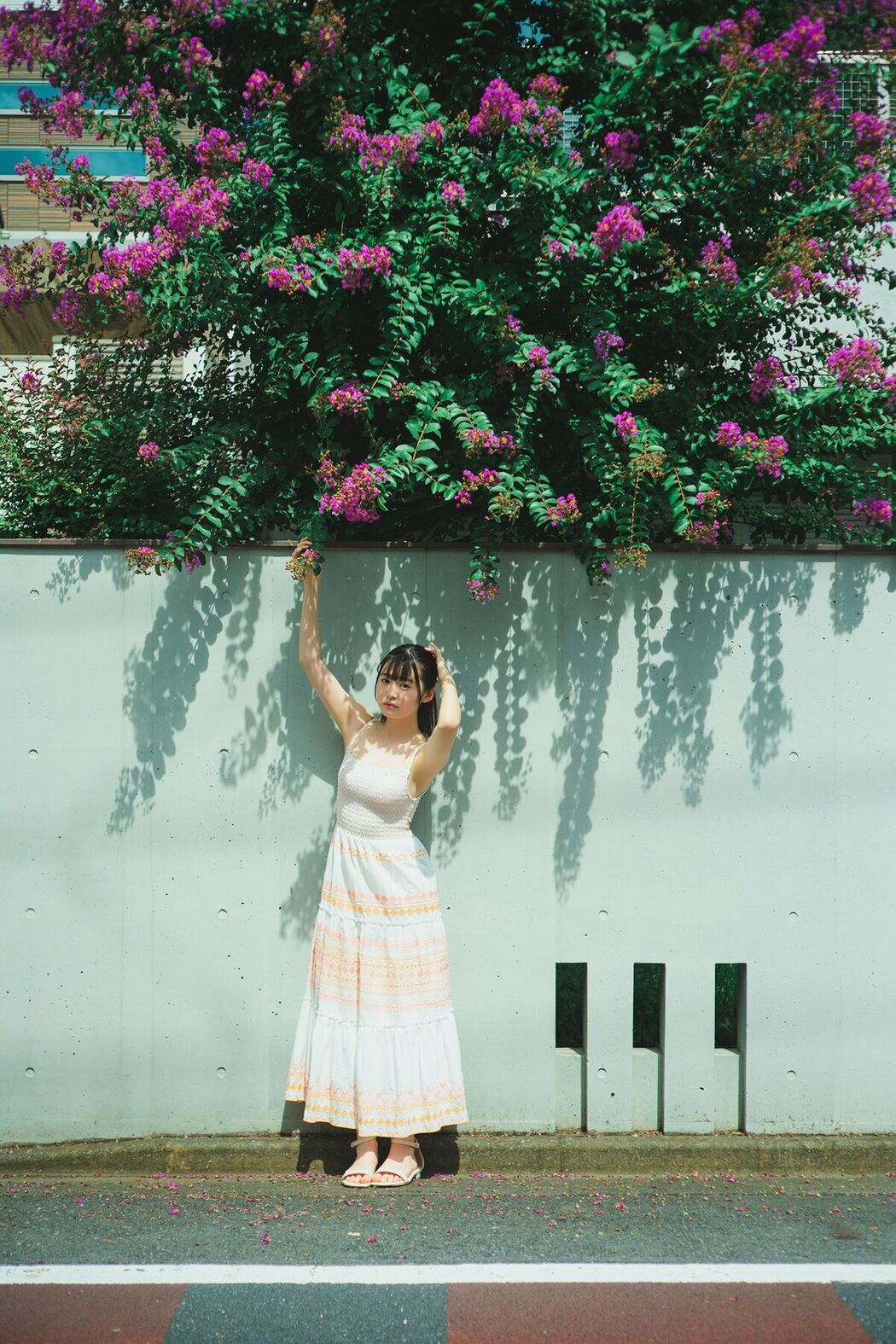 JP Miu Shirahama 白濱美兎 – 鳥取が生んだ超逸材ヤングチャンピオンデジグラ (70P)