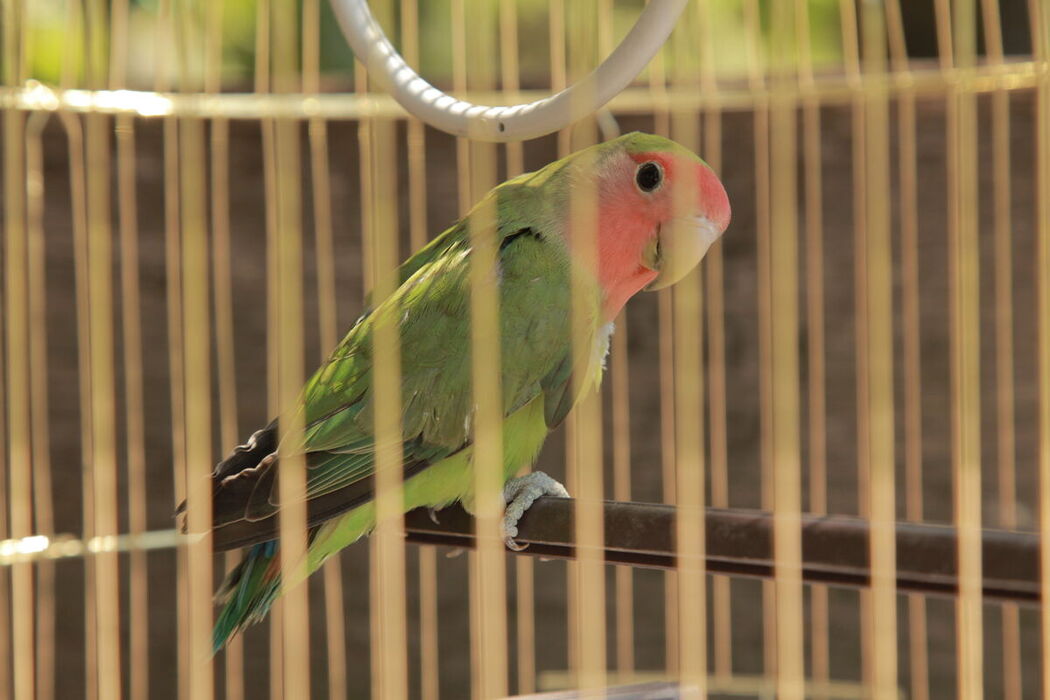 MetArt Milena D &#8211; Straler Part01 (71P)