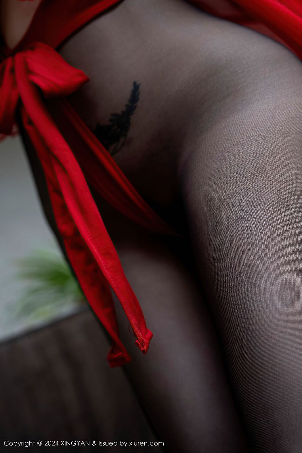 XingYan星颜社 Vol.245 Pan Si Qin