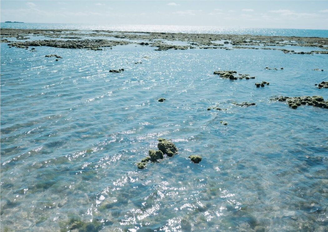 JP Kipikodayo 九十九ぱて – 1st E-book こっちにきてWunder Publishing House Part01 (65P)