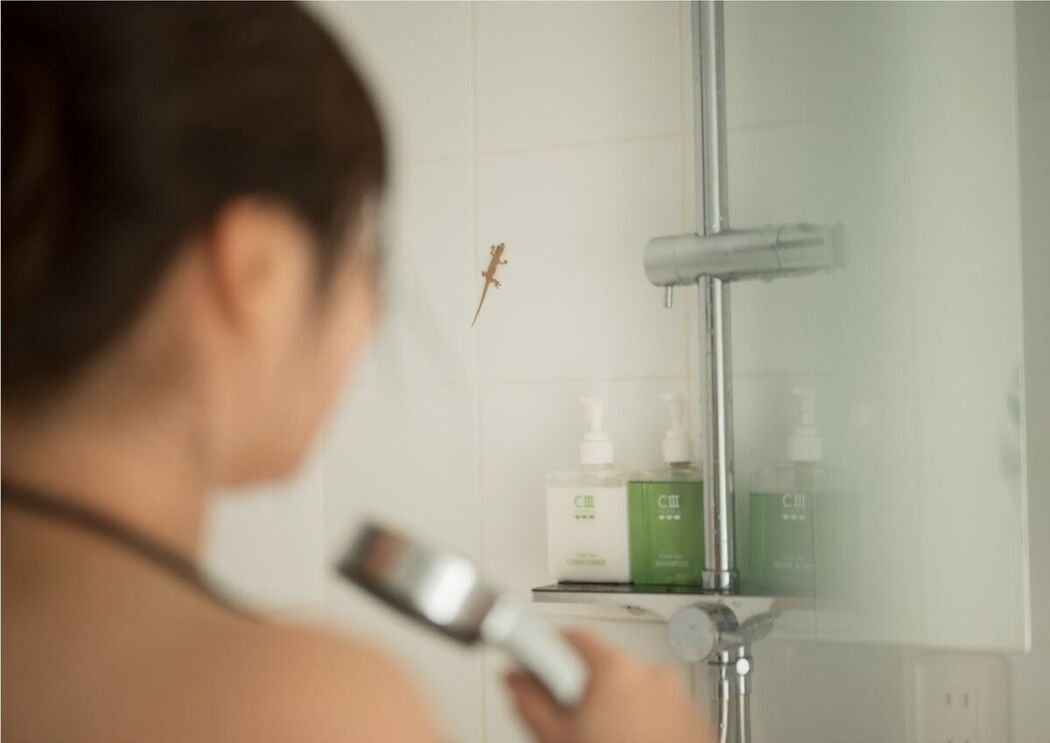 JP Kipikodayo 九十九ぱて – 1st E-book こっちにきてWunder Publishing House Part03 (66P)