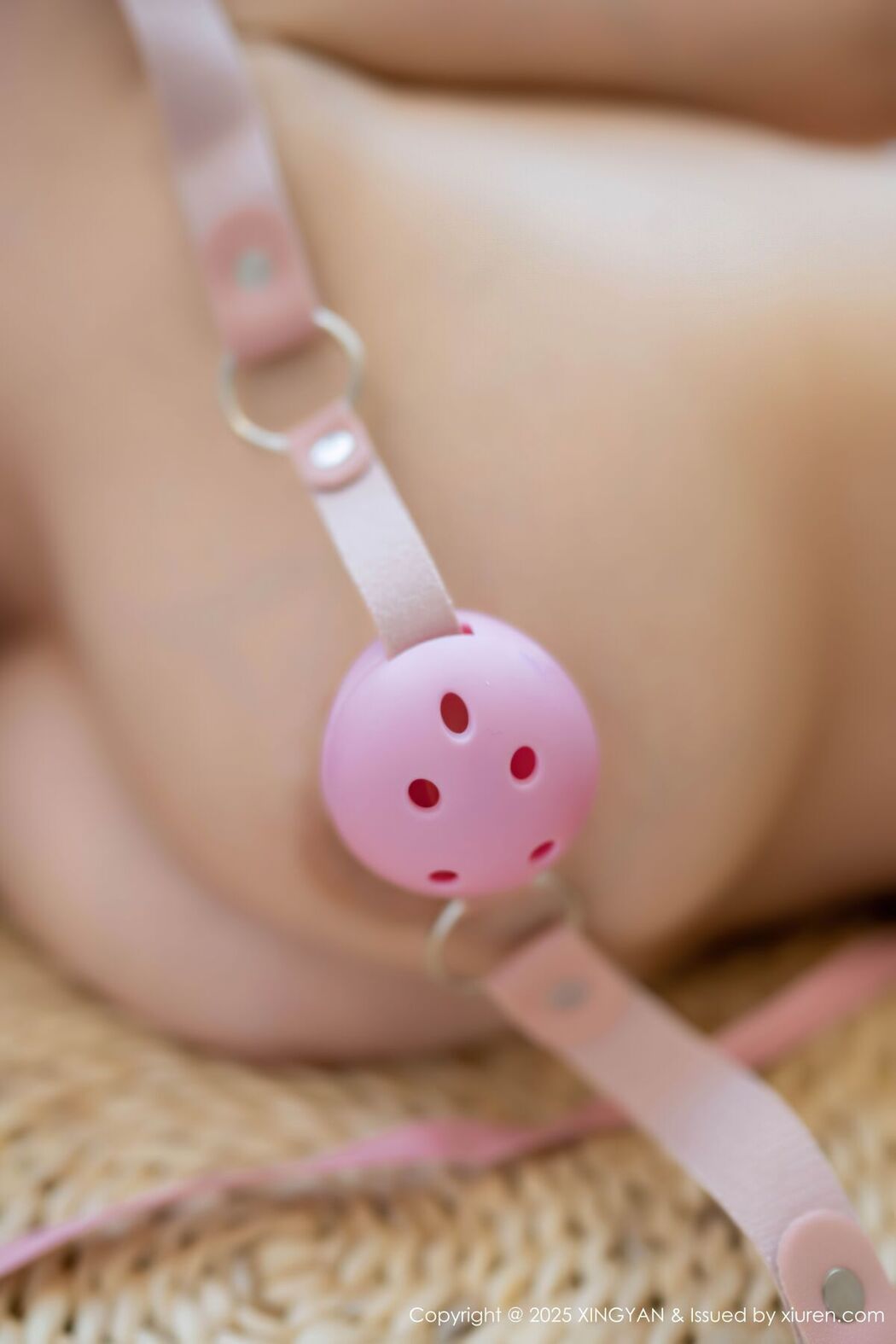 XingYan星颜社 Vol.315 袁圆 (80P)