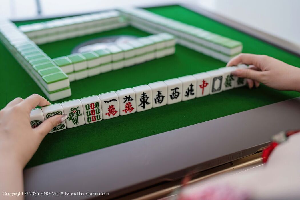 XingYan星颜社 Vol.308 Yuan Yuan