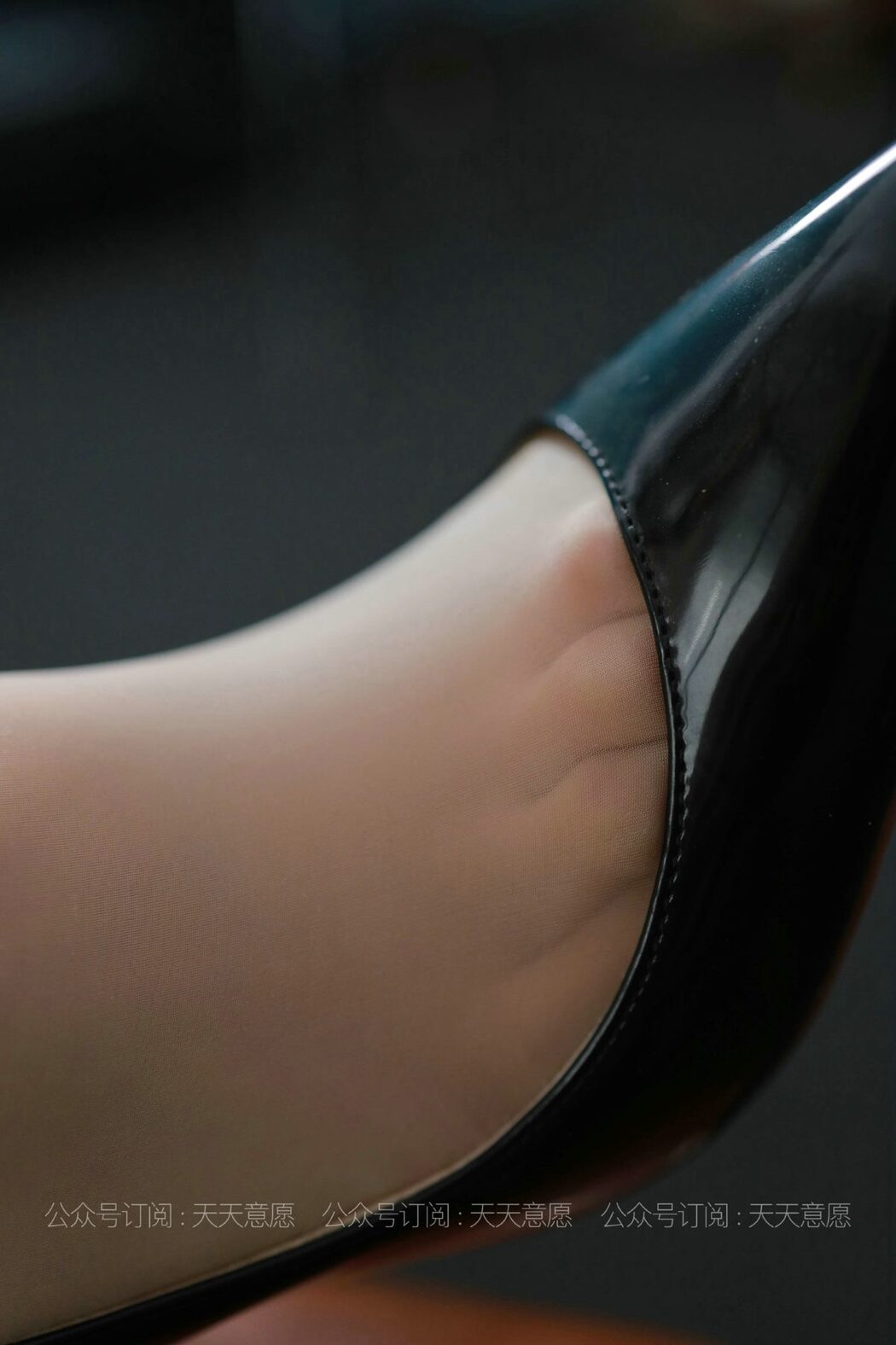 IESS异思趣向 No.848 Rou Rou