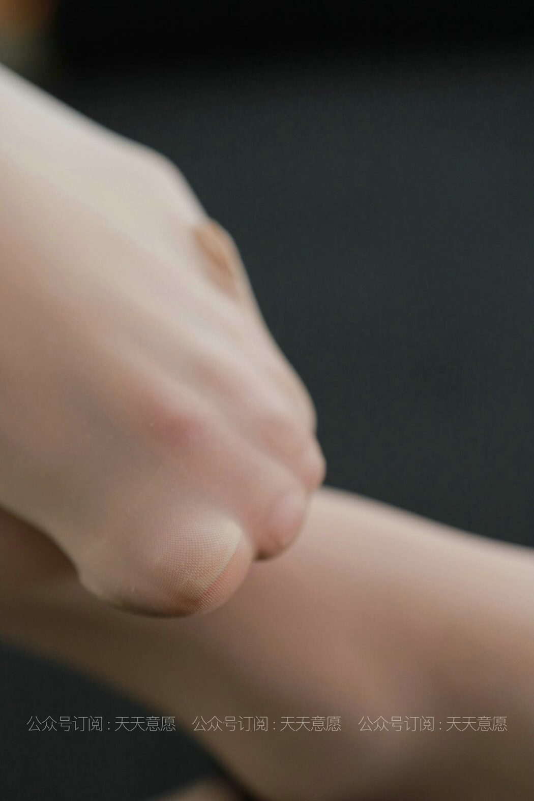 IESS异思趣向 No.848 Rou Rou