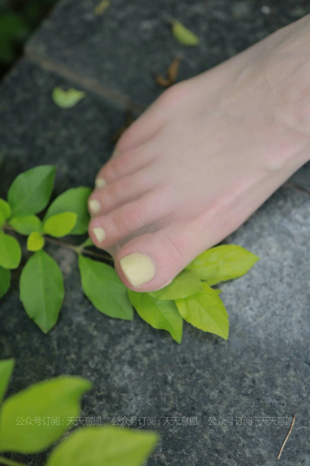 IESS异思趣向 No.889 Jia Ye