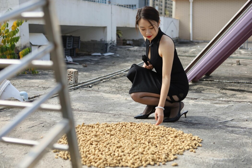 IESS异思趣向 No.986 Xiao Jie