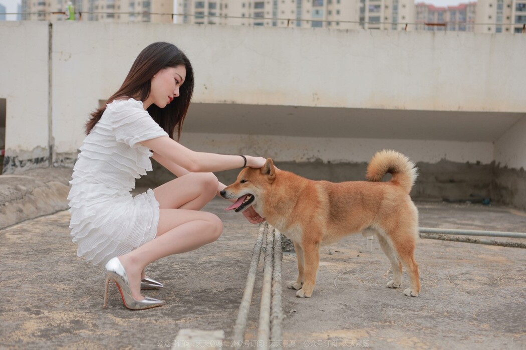 IESS异思趣向 No.979 Jia Ye