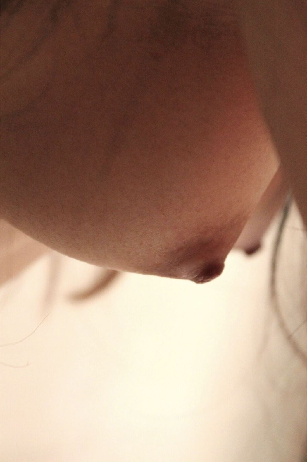 JP 100人のおっぱい (89P)