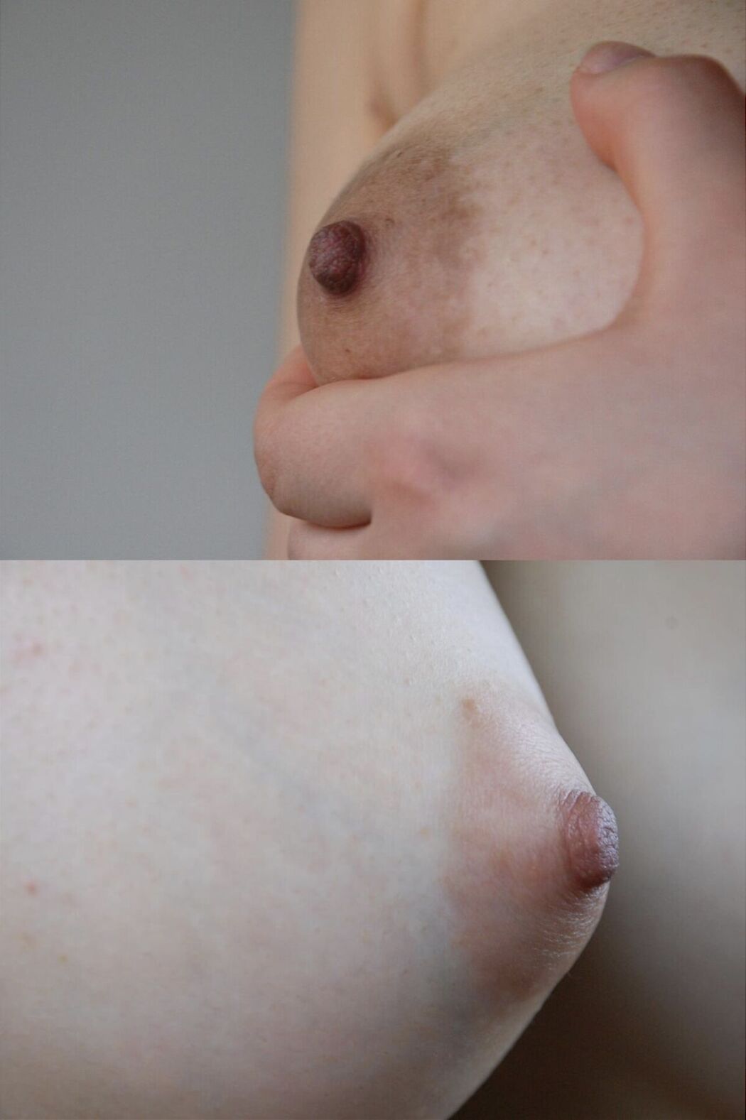 JP 100人のおっぱい (89P)