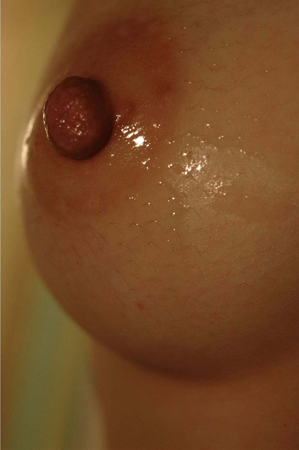 JP 100人のおっぱい (89P)