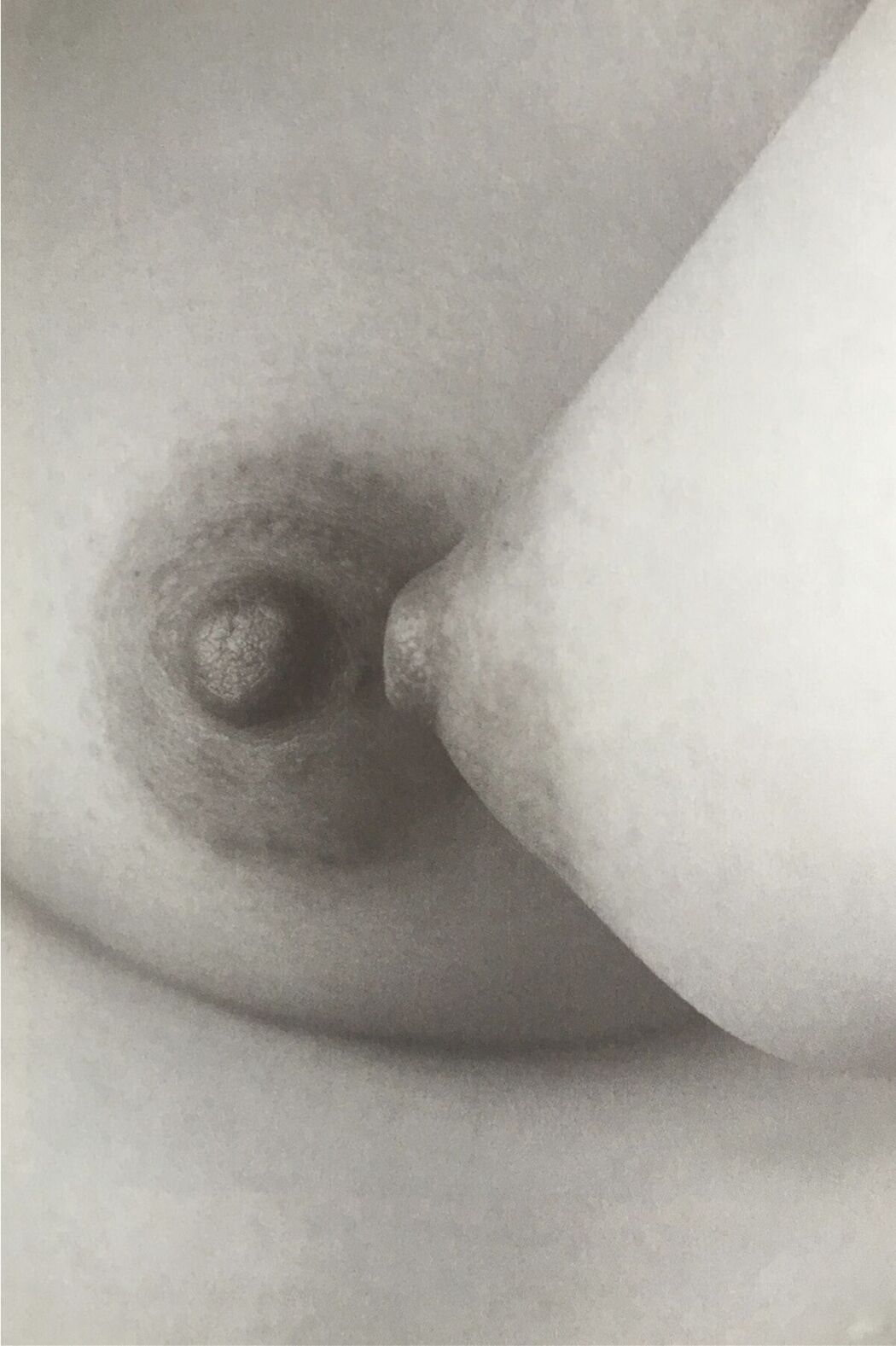 JP 100人のおっぱい (89P)