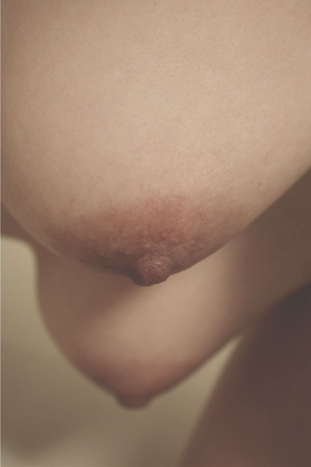 JP 100人のおっぱい (89P)