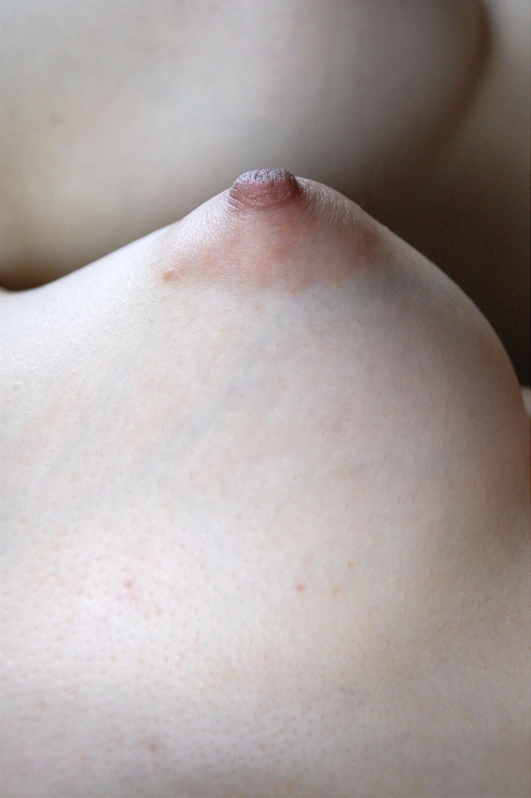 JP 100人のおっぱい (89P)