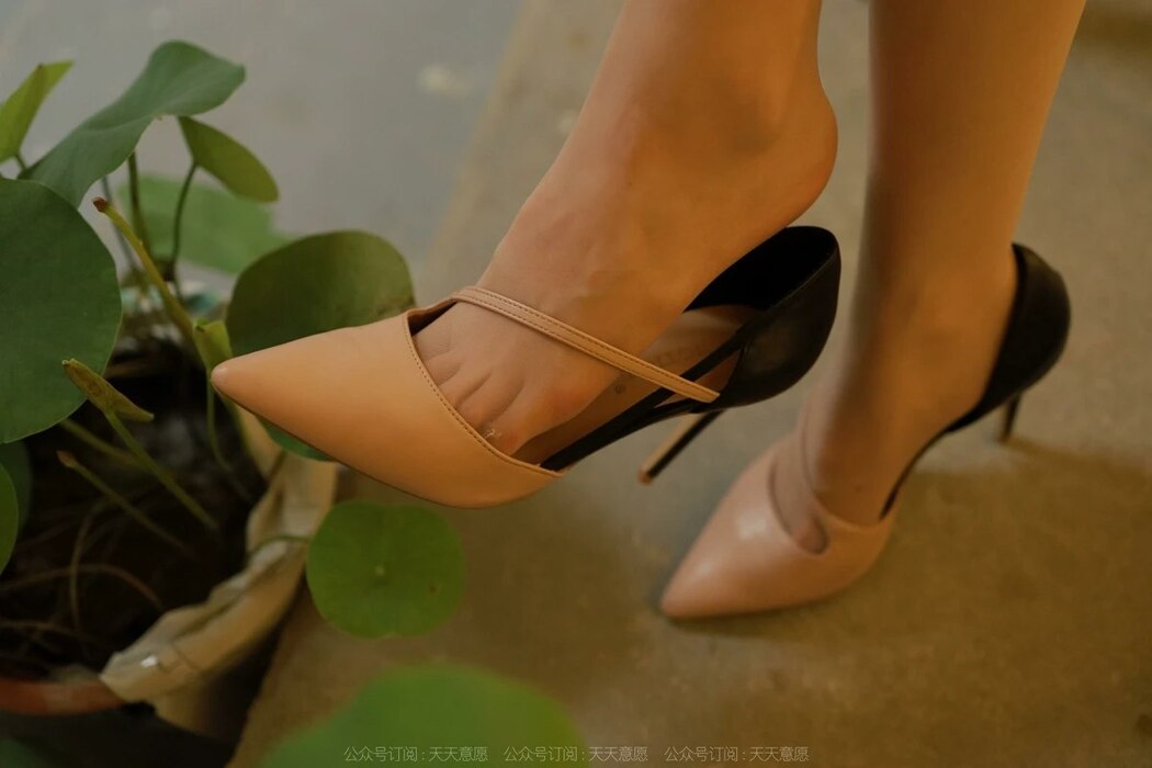 IESS异思趣向 No.1177 Mi Mi