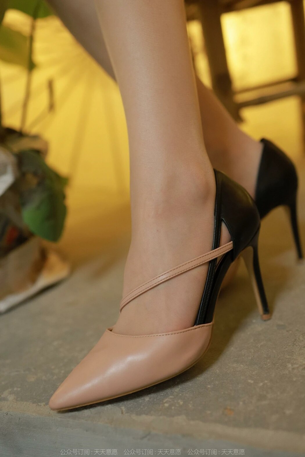 IESS异思趣向 No.1177 Mi Mi