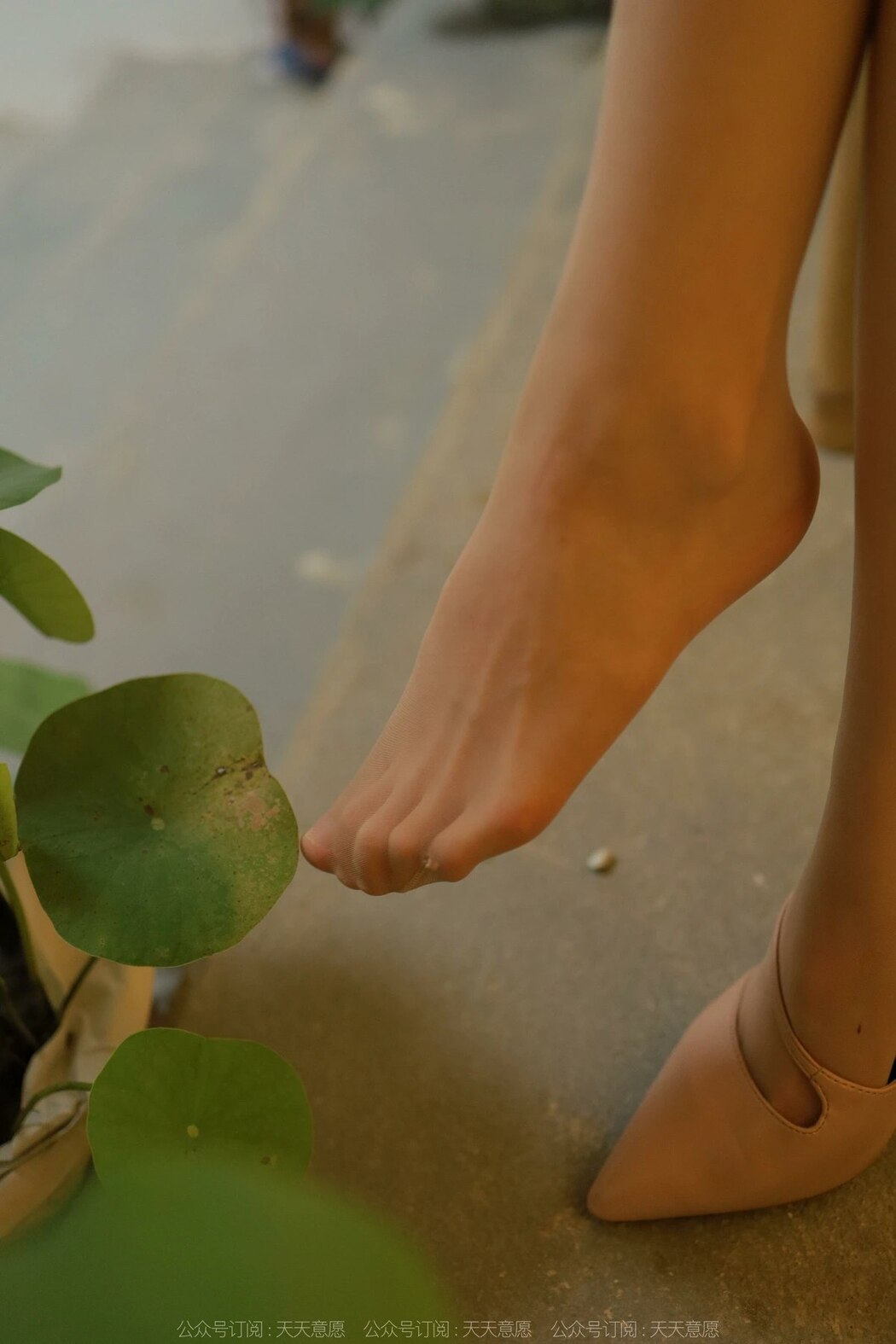 IESS异思趣向 No.1177 Mi Mi