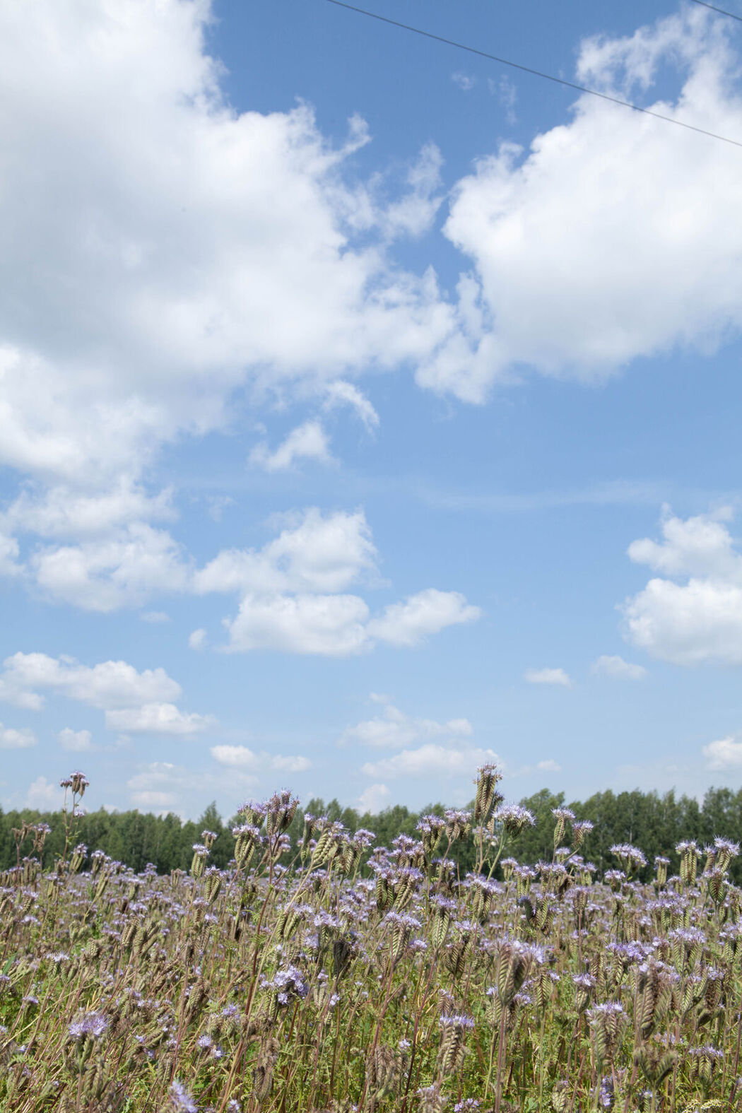 MetArt Rany A – Angelico Part02 (64P)