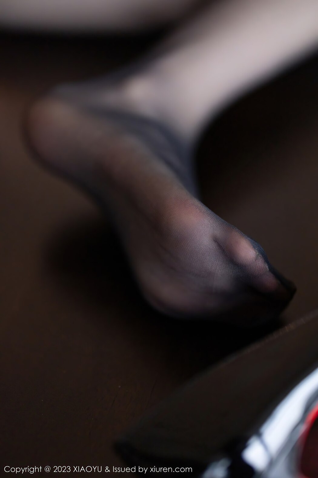 XiaoYu语画界 Vol.1000 Lin Xing Lan