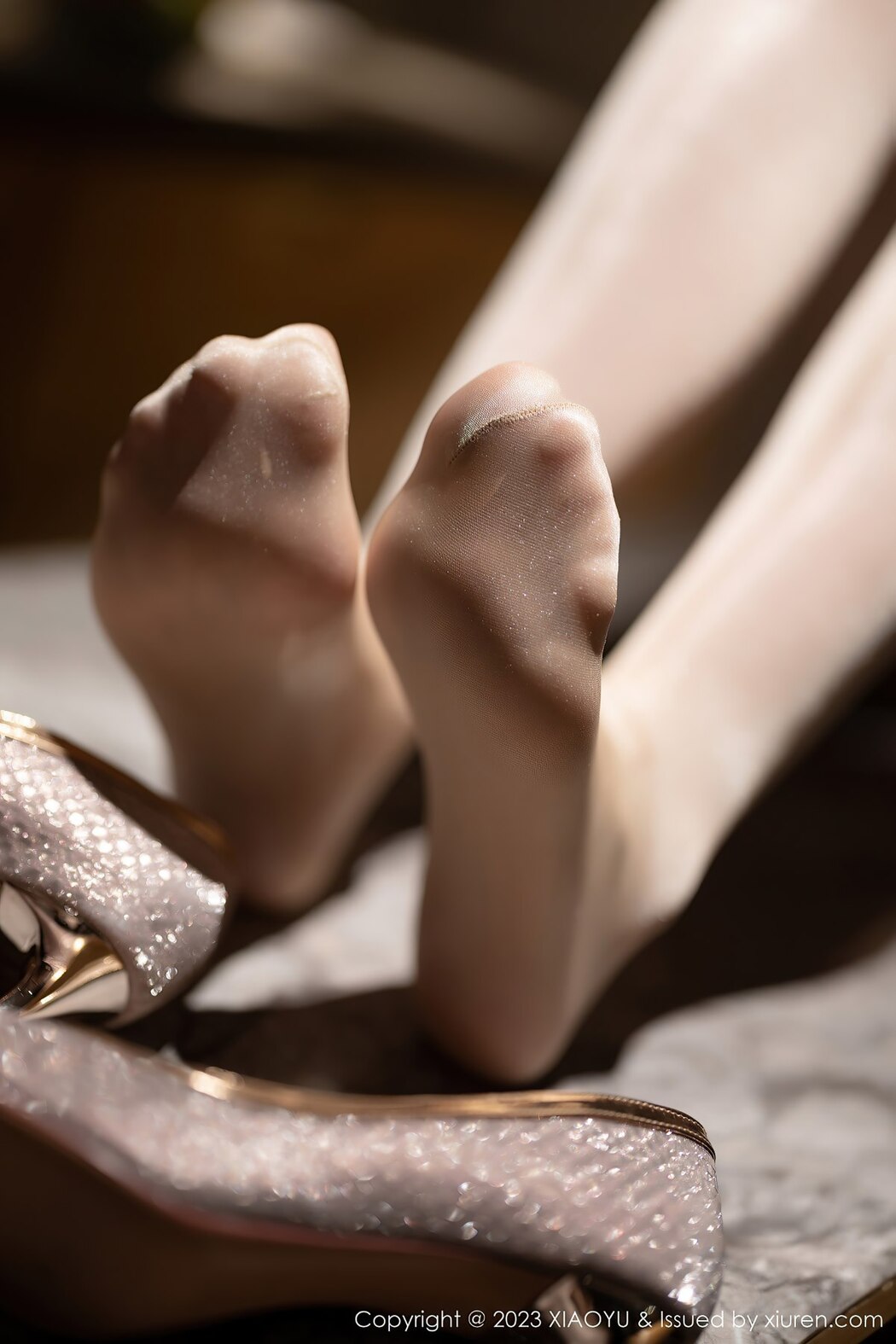 XiaoYu语画界 Vol.995 Meng Xin Yue