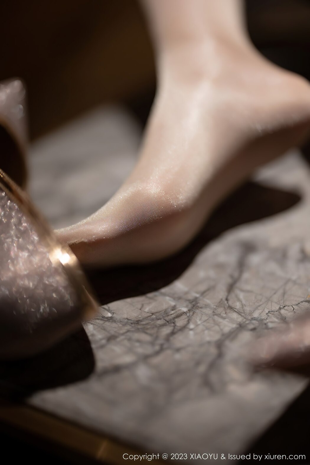 XiaoYu语画界 Vol.995 Meng Xin Yue